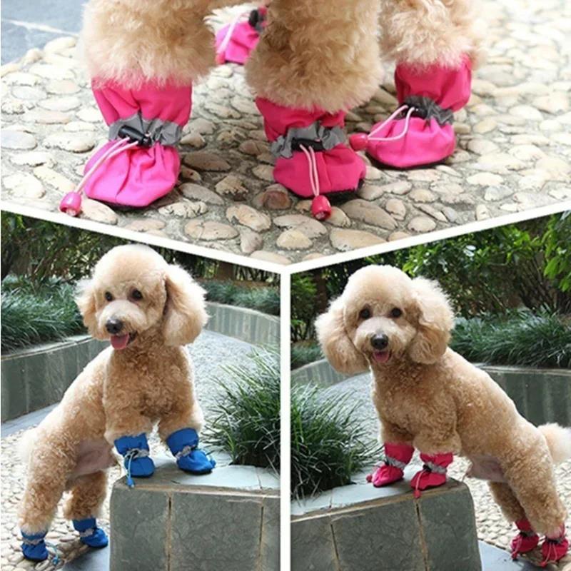 Shoe Polish Cream - Yeni 4 Adet Köpek Pati Koruyucu